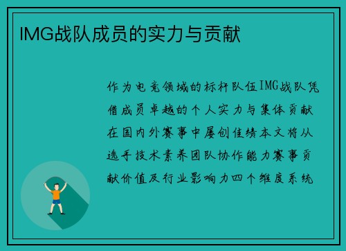 IMG战队成员的实力与贡献