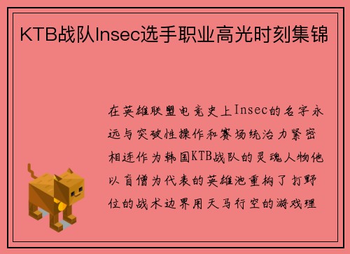 KTB战队Insec选手职业高光时刻集锦