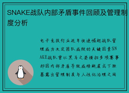 SNAKE战队内部矛盾事件回顾及管理制度分析